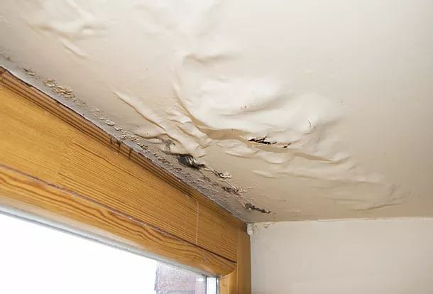 Water Damage & Ceiling Restoration<br />
