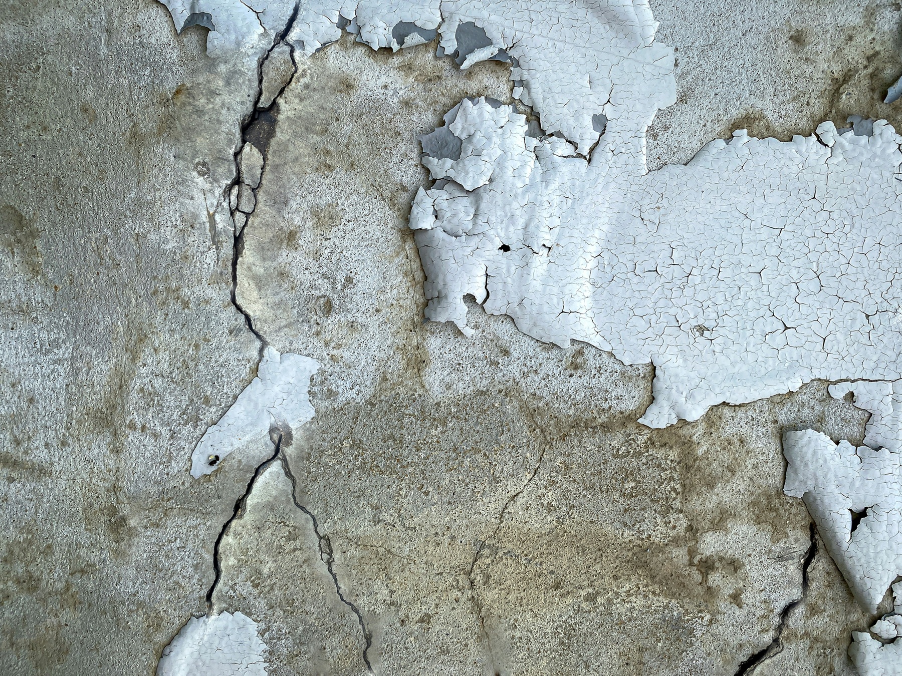 suradeach-saetang-hx3SLK4m3Vs-unsplash water damage plaster repair